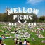 Naturally / Mellow Picnic produced and mixed by Naturally [CD]