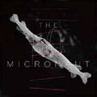 ザ・マイクロノーツ / フライドフィッシュ [CD]