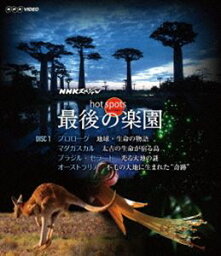 NHKスペシャル ホットスポット 最後の楽園 Blu-ray DISC 1 [Blu-ray]
