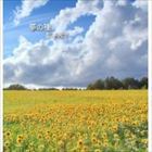 松本英子 / 夢の種 [CD]