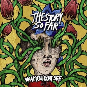 輸入盤 STORY SO FAR / WHAT YOU DON’T SEE 