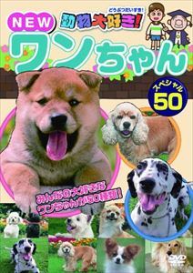 動物大好き!NEWワンちゃんスペシャル50 [DVD]
