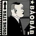 輸入盤 ORCHESTRA BAOBAB / TRIBUTE TO NDIOUGA DIENG LP