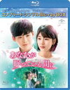 あなたが眠っている間に BD-BOX2＜コンプリート・シンプルBD-BOX6，000円シリーズ＞【期間限定生産】 [Blu-ray]