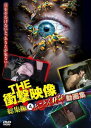 THE 衝撃映像 総集編4 とことん狂気 動画集 DVD