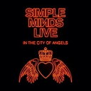 輸入盤 SIMPLE MINDS / LIVE IN THE CITY OF ANGELS 4LP