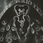 ポメランス エリカ ユー ユースト トゥ シンクCD発売日2010/9/22詳しい納期他、ご注文時はご利用案内・返品のページをご確認くださいジャンル洋楽ロック　アーティストエリカ・ポメランス収録時間46分13秒組枚数1商品説明エリカ・ポメランス / ユー・ユースト・トゥ・シンクユー ユースト トゥ シンク紙ジャケット封入特典解説関連キーワードエリカ・ポメランス 収録曲目101.You Used To Think(3:18)02.The Slippery Morning(3:48)03.We Came Via(7:05)04.The French Revolution(3:23)05.Julius(4:44)06.Burn Baby Burn(5:42)07.Koanisphere(7:10)08.Anything Goes(5:33)09.To Leonard From The Hospital(5:30)商品スペック 種別 CD JAN 4571167363292 製作年 2010 販売元 スペースシャワーネットワーク登録日2010/06/24