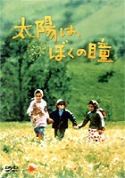 太陽は、ぼくの瞳 ◆20%OFF！