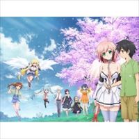 ����Τ��Ȥ����Final �ʱ�λ��Ļ�� DVD�̾��� [DVD]