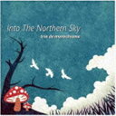 trio de monochrome / Into The Northern Sky CD