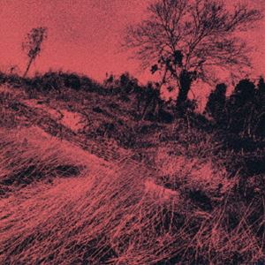 Artist Name: Ra Line - ザ・ディランII / きのうの思い出に別れをつげるんだもの（Blu-specCD2） [CD]
