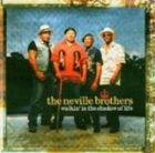 輸入盤 NEVILLE BROTHERS / WALKIN’ IN THE SHADOW OF LIFE [CD]