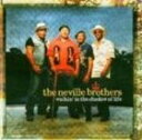 輸入盤 NEVILLE BROTHERS / WALKIN’ IN THE SHADOW OF LIFE CD