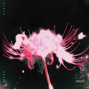 輸入盤 BLIND EQUATION / DEATH AWAITS [CD]