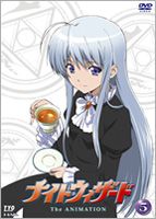 ナイトウィザード The ANIMATION VOL.5〈通常版〉 [DVD]