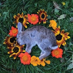 YOUR TIME TO SHINECD発売日2021/10/29詳しい納期他、ご注文時はご利用案内・返品のページをご確認くださいジャンル洋楽ハードロック/ヘヴィメタル　アーティストモノロードMONOLORD収録時間組枚数商品説明MONOLORD / YOUR TIME TO SHINEモノロード / ユア・タイム・トゥ・シャイン収録内容1. The Weary2. To Each Their Own3. I’ll Be Damned4. Your Time To Shine5. The Siren Of Yersinia関連キーワードモノロード MONOLORD 商品スペック 種別 CD 【輸入盤】 JAN 0781676748327登録日2021/09/14