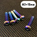 チタンレインボーボタンビスM3×18mm(5本入) RP-02318 RCパーツ
