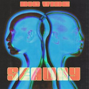 輸入盤 SEAWAY / BIG VIBE [CD]