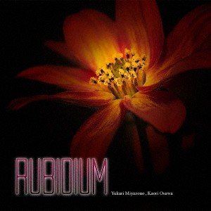 宮園ゆかり、大澤香織（vo／p） / RUBIDIUM [CD]