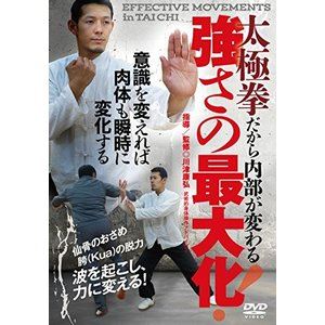 太極拳だから内部が変わる【強さの最大化】〜波を起こし、力に変換する!〜 [DVD]