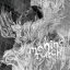 mahina / TORCH [CD]