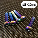 チタンレインボーボタンビスM3×20mm(5本入) RP-02320 RCパーツ