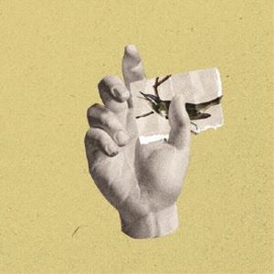 catalina / Walls，Fragments [CD]