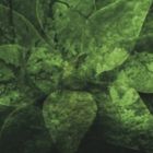 CHANNEL U / SO POSSIBLE [CD]