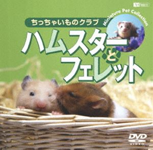 ハムスターとフェレット／ちっちゃいものクラブ [DVD]