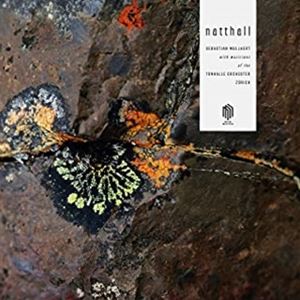 NATTHALL2LP発売日2020/6/12詳しい納期他、ご注文時はご利用案内・返品のページをご確認くださいジャンルクラシックその他　アーティストセバスチャン・ムラートSEBASTIAN MULLAERT収録時間組枚数商品説明SEBASTIAN MULLAERT / NATTHALLセバスチャン・ムラート / NATTHALL自然界の威厳・原始的なサイクルを瞑想とを融合させた芸術音楽。ヴァイオリニストでもあるセバスチャン・ムラートの先進的で独創的なエレクトロニックアーティストとして革新的な即興ライヴなどで注目されている。クラシック音楽と電子音楽のギャップを埋め、現代のクラシックの概念に全く新しいジェネレーションを導入することを目指している。※こちらの商品は【アナログレコード】のため、対応する機器以外での再生はできません。収録内容収録曲Living InvitationAs The River PassNo Words For A Beautiful WorldAscending Of A Spotless BirdUndressing The SkyViews Of NatthallMoonwakerRest Of The Heron演奏セバスチャン・ムラートチューリッヒ・トーンハレ管弦楽団のメンバー関連キーワードセバスチャン・ムラート SEBASTIAN MULLAERT 商品スペック 種別 2LP 【輸入盤】 JAN 0885470014388登録日2022/04/14
