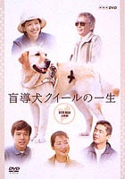 《送料無料》盲導犬クイールの一生 DVD-BOXDVD ◆20%OFF！
