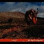 ELLEGARDEN / My Own Destruction [CD]