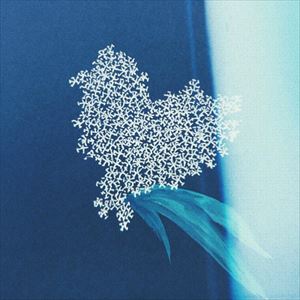 大塚愛 / ドラセナ（通常盤） [CD](2)