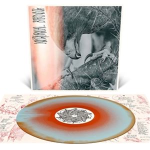 輸入盤 AUTHOR ＆ PUNISHER / NOCTURNAL BIRDING （CUSTOM MERGE） [LP]