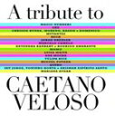輸入盤 VARIOUS / TRIBUTE TO CAETANO VELOSO [CD]