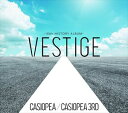 カシオペア／カシオペアサード / VESTIGE -40th HISTORY ALBUM-（Blu-specCD2） CD