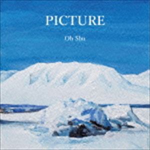 王舟 / PICTURE [CD]