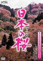 DVD発売日2007/2/5詳しい納期他、ご注文時はご利用案内・返品のページをご確認くださいジャンル趣味・教養カルチャー／旅行／景色　監督出演収録時間70分組枚数1商品説明日本の桜 西日本編吉野山、祇園白川などの名所の桜から、ひょうたん桜、醍醐桜などの銘木、そして名もない桜まで多種にわたる桜の映像を収録した映像作品。収録内容・名護中央公園の桜・今帰仁城跡の桜・高岡公園の桜・奥十曽のエドヒガン・都井岬の桜・西都原古墳群の桜・人吉城跡の桜・一心行の大桜・湯の児海岸の桜・宝珠寺の姫枝垂桜・武雄温泉の桜・円応寺の桜・ひょうたん桜・中越家の枝垂桜・牧野公園の桜・平鍋ダムのヤマザクラ・内子町の枝垂桜・椿川の桜並木・日和佐城跡の桜・錦帯橋の桜・筆影山の桜・平和記念公園の桜・鶴形山公園の桜・醍醐桜・道成寺の桜・奈良公園の桜・又兵衛桜・仏隆寺の千年桜・長谷寺の桜・吉野の桜・毛馬桜ノ宮公園の桜・哲学の道の桜・祇園白川の桜・善峯寺の桜・岡崎疎水の桜・大覚寺の桜・嵐山の桜・醍醐寺の桜・奥琵琶湖パークウェイの桜・海津大崎の桜・白川郷の桜・九頭竜川弁天桜・朝倉氏遺跡の墓・向野のエドヒガンザクラ・春谷寺のエドヒガン桜・三多気の桜・河津桜・大石寺の桜特典映像桜図鑑(西日本編)商品スペック 種別 DVD JAN 4989346912443 カラー カラー 製作年 2007 製作国 日本 音声 DD　　　 販売元 山と渓谷社登録日2006/11/30