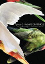 globe／15YEARS CHRONICLE 〜ON-AIR ＆ OFF-AIR〜 ＋ UNRELEASED TRACKS DVD