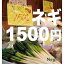 Negi / ͥ1500 [CD]