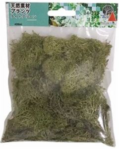 ŷ���Ǻ�ץ��� �饤�ȥ��꡼�� 24-332 N������