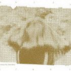 なまこじょしこおせえ [CD]