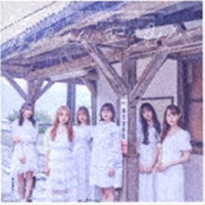 NGT48 / 渡り鳥たちに空は見えない（Type-B） [CD]