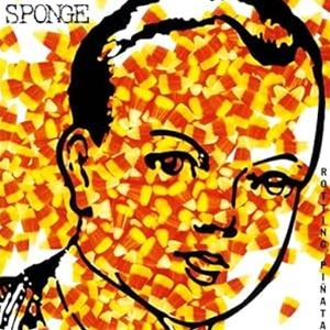 輸入盤 SPONGE / ROTTING PINATA （RED ＆ BLACK MARBLED） （COLORED） [LP]