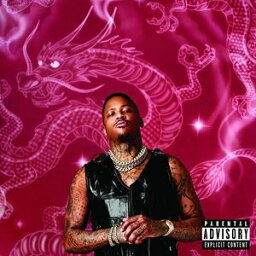 輸入盤 YG / STAY DANGEROUS [CD]