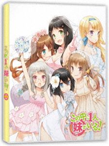 OVAの中に1人、妹がいる! [Blu-ray]