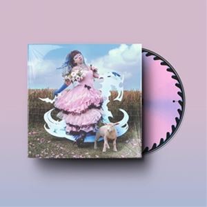 輸入盤 JAZMIN BEAN / TRAUMATIC LIVELIHOOD 