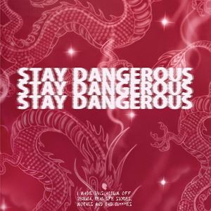Artist Name: S - 輸入盤 YG / STAY DANGEROUS [2LP]