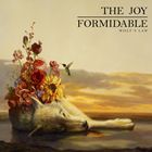 ͢ JOY FORMIDABLE / WOLFS LAW [CD]