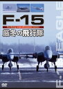 F-15 厳冬の飛行隊 [DVD]